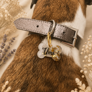 Médaillons pour chien