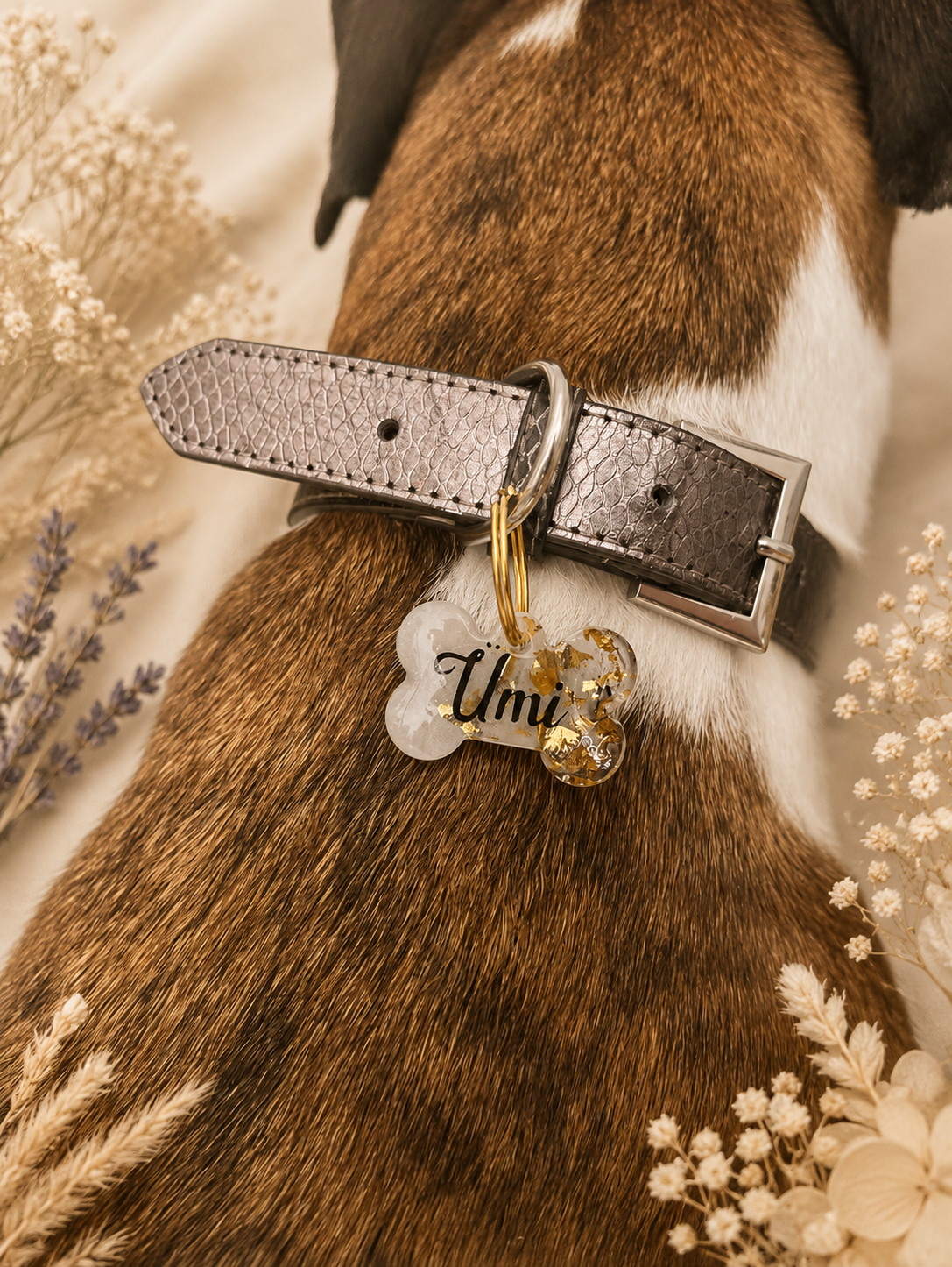 Médaillons pour chien